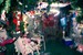 Paw_Print-1047