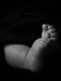 Baby Feet